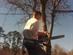 Drew age 14 in tree